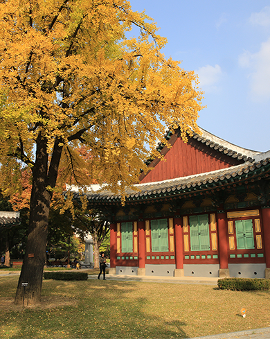 경상감영공원 이미지